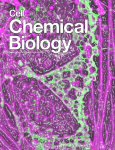 Cell Chem Biol